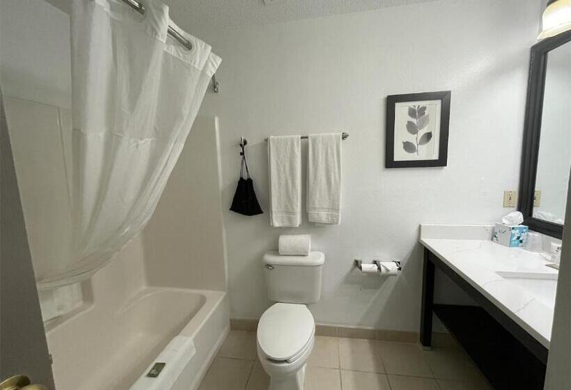 اتاق لوکس با تخت بزرگ, Harmony Inn & Suites