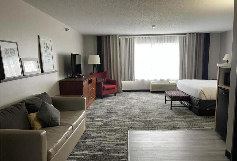 اتاق لوکس با تخت بزرگ, Harmony Inn & Suites