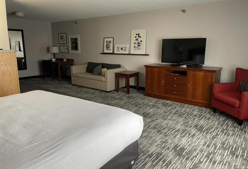 اتاق لوکس با تخت بزرگ, Harmony Inn & Suites