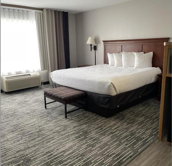 اتاق لوکس با تخت بزرگ, Harmony Inn & Suites