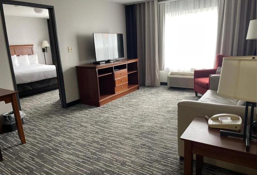 اتاق سوپریور با تخت بزرگ, Harmony Inn & Suites