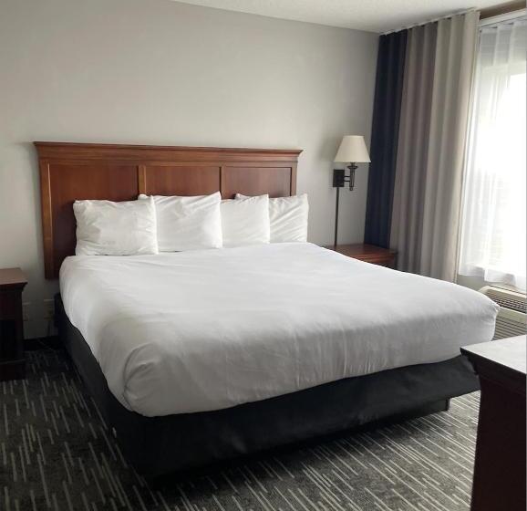 اتاق سوپریور با تخت بزرگ, Harmony Inn & Suites