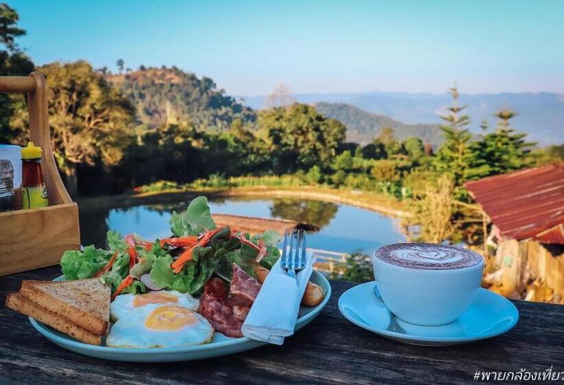 اتاق عادی, Leehu Coffee Farm