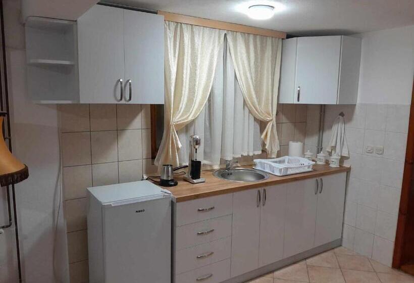 اتاق خانوادگی, Goshevski Apartment