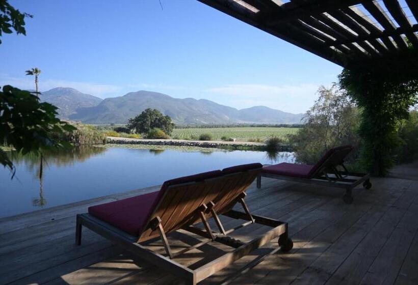 سوییت سوپریور, Bruma Wine Resort