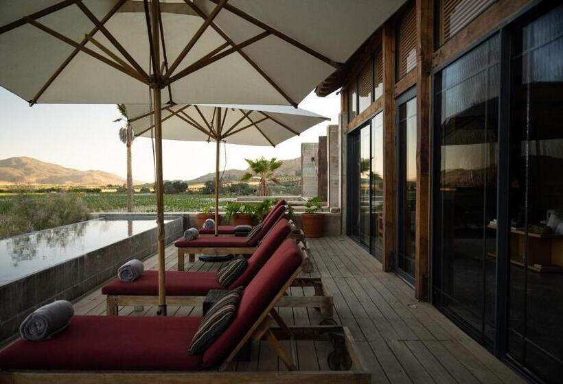 سوییت سوپریور, Bruma Wine Resort