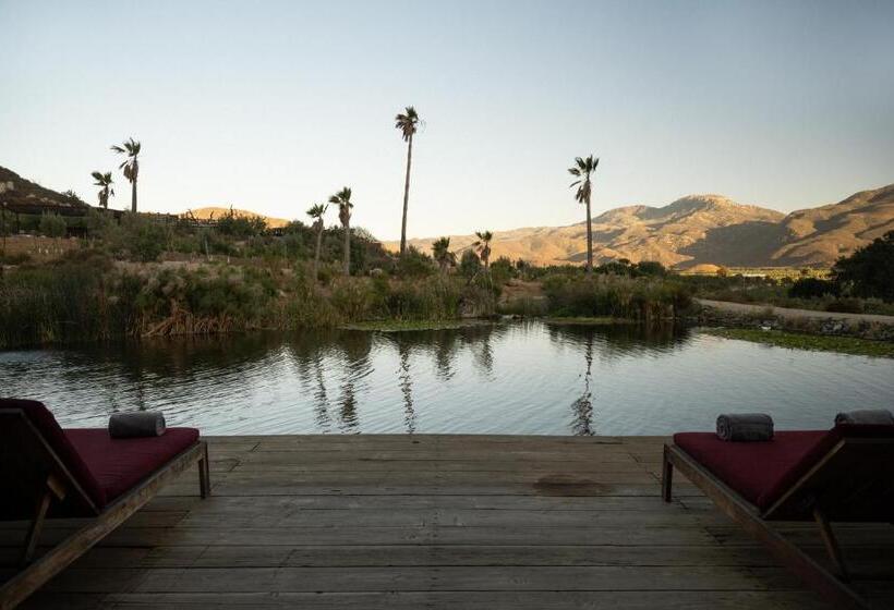 سوییت سوپریور, Bruma Wine Resort