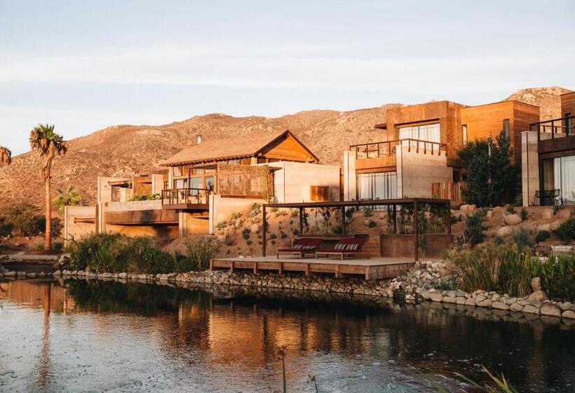 سوییت سوپریور, Bruma Wine Resort
