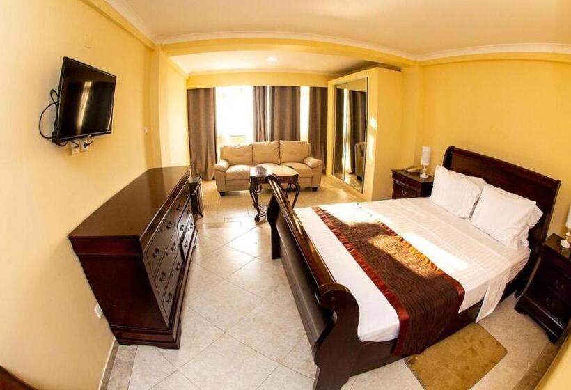 اتاق استاندارد با تخت بزرگ, Brisotel