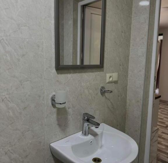 اتاق استاندارد سه نفره, Family Hotel 464