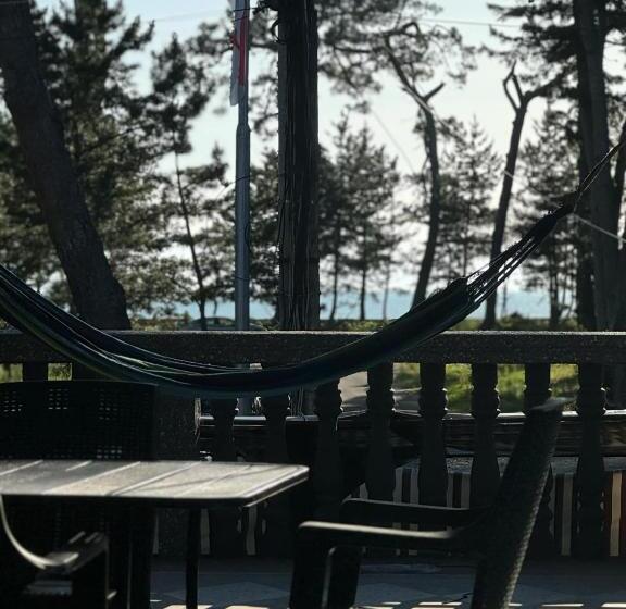 اتاق خانوادگی با چشم‌انداز دریا, Family Hotel 464