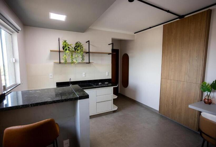 اتاق استاندارد, Terraço Flat