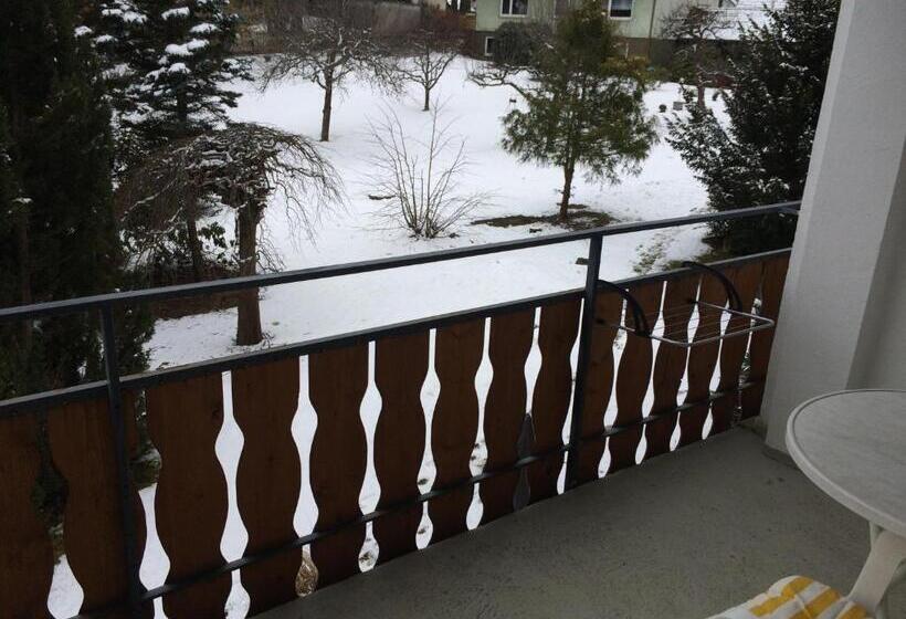 آپارتمان 1 خوابه, Boardinghouse Swb Im Hirschen