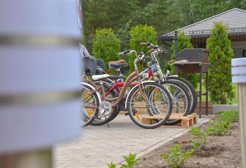 اتاق استاندارد, Home Stay Juniper