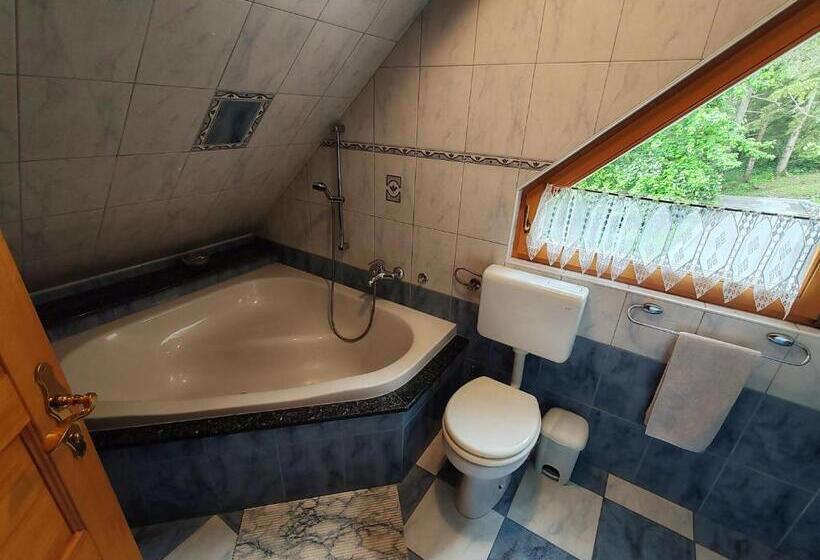 اتاق استاندارد با بالکن, Room Janez