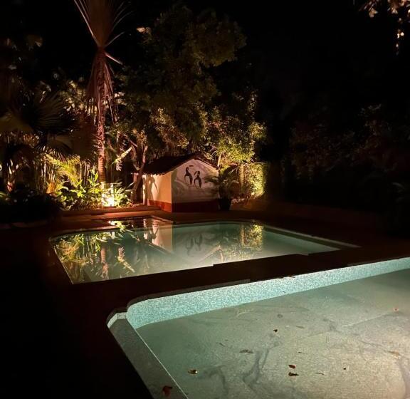 سوییت با چشم‌انداز استخر, Satori Wellness Cottages I Yoga Retreat, Sauna, Holistic Therapies & More