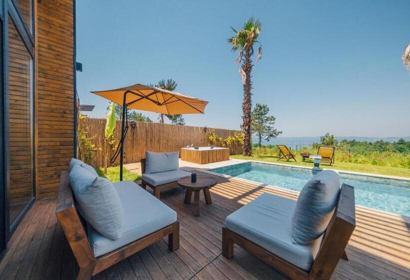 اتاق استاندارد با چشم‌انداز دریاچه, Stay In Sapanca