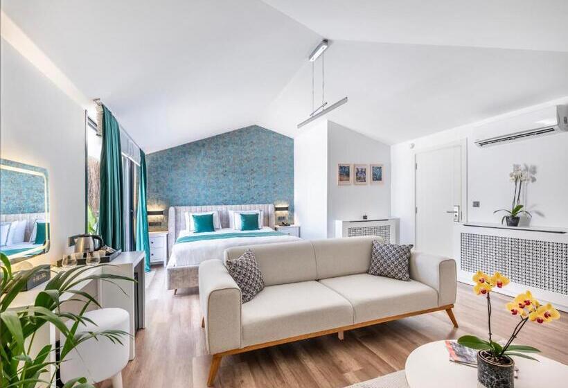 سوئیت با تخت بزرگ, Hillora Hotel Buyukada