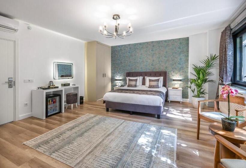 اتاق سوپریور, Hillora Hotel Buyukada