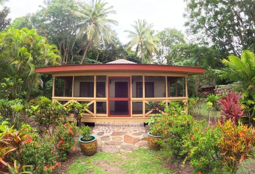 کلبه ییلاقی سوپریور یک خوابه, Papageno Resort & Dive