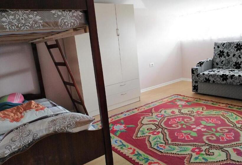اتاق استاندارد, Rowdy Guest House