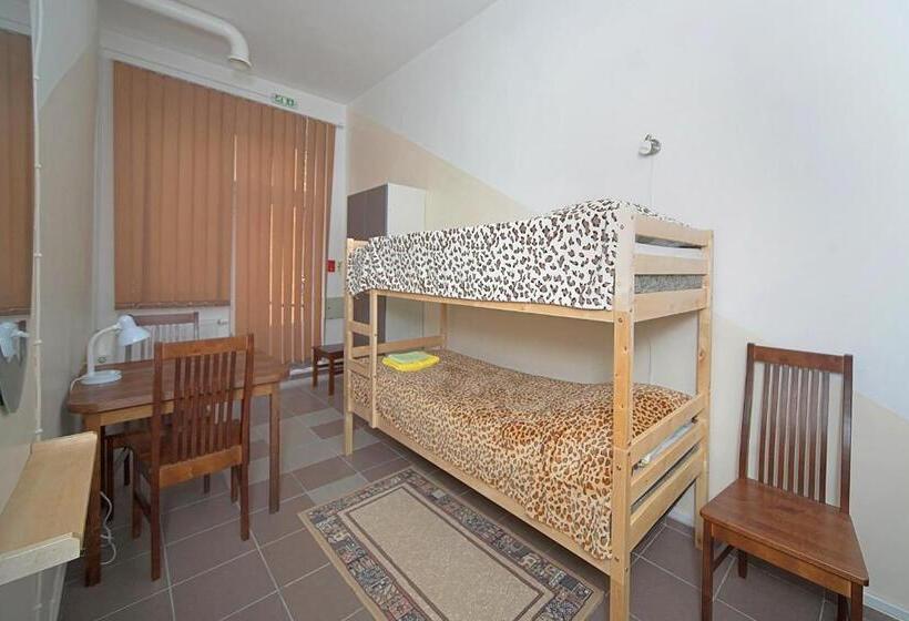 اتاق استاندارد چهار تخته, Yasmina Hostel