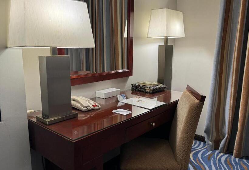 استودیوی استاندارد با چشم‌انداز شهر, Al Safwah Hotel Third Tower 3