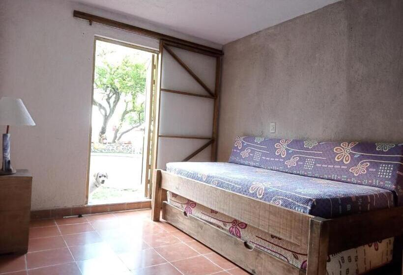 استودیوی استاندارد, Casa Pahpaqui