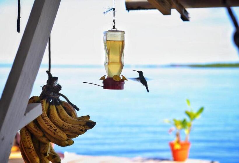اتاق سوپریور, Barrbra Bnb Over The Sea