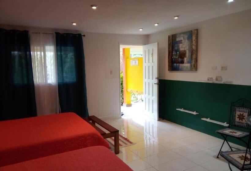 اتاق استاندارد با تخت بزرگ, Residence Las Lajas