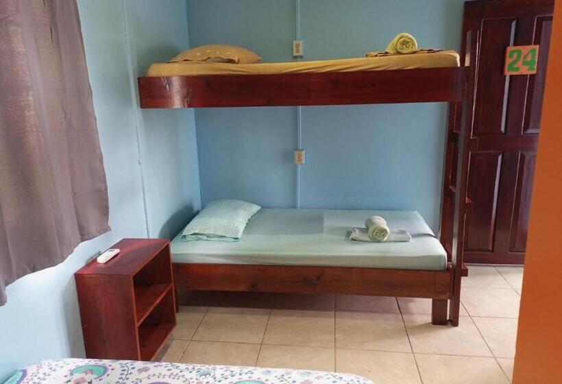 اتاق استاندارد چهار تخته, Surfari Bocas