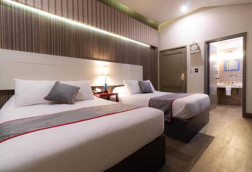 اتاق سوپریور, Collection O Corazón Del Café Hotel Boutique