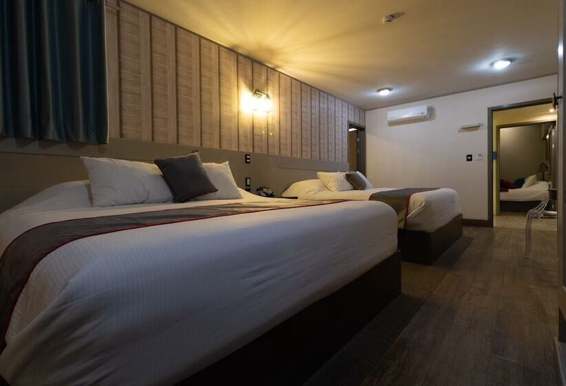 اتاق سوپریور, Collection O Corazón Del Café Hotel Boutique