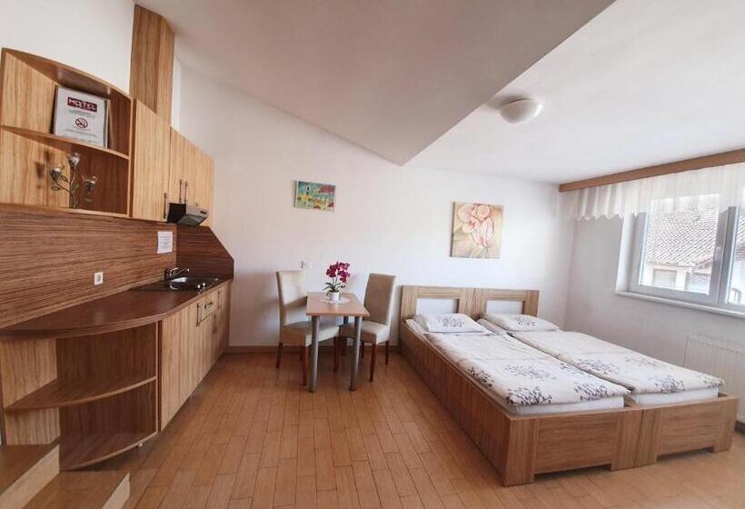 استودیوی لوکس, Hostel Novak