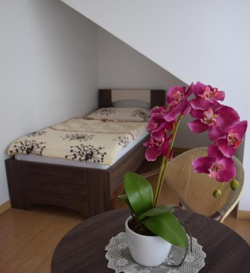 اتاق استاندارد سه نفره, Hostel Novak
