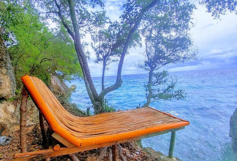 سوییت خانوادگی, Stay N Save B&b