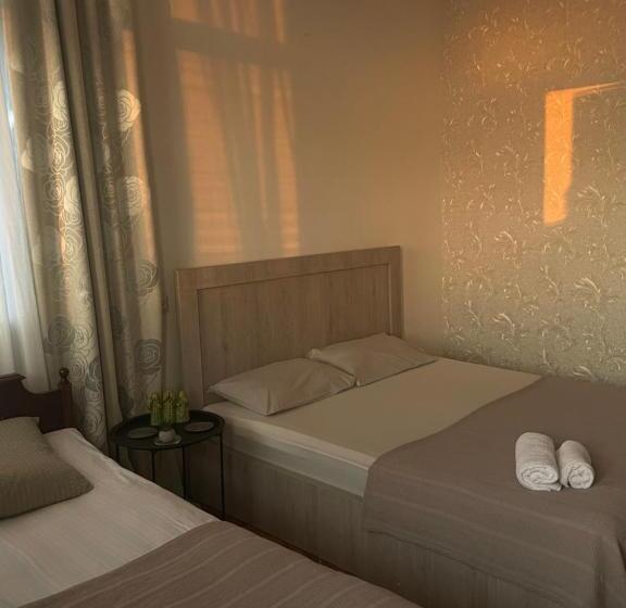 اتاق خانوادگی, Nits Guest House