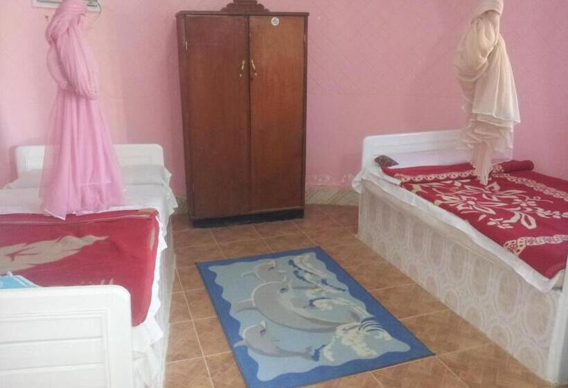 اتاق ساده سه‌ نفره, Ahmed Safari Camp &
