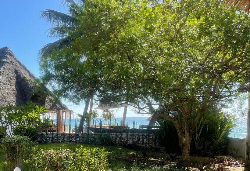 اتاق استاندارد با چشم‌انداز دریا, Aya Beach Resort