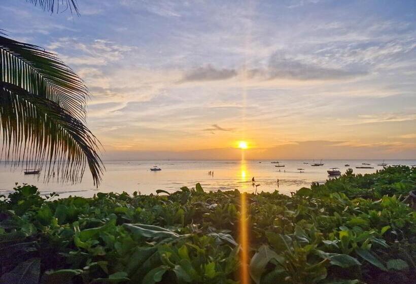اتاق استاندارد چهار تخته با چشم‌انداز دریا, Aya Beach Resort