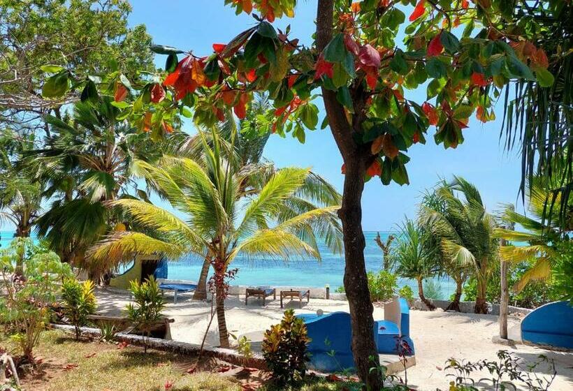 اتاق استاندارد با بالکن و چشم‌انداز دریا, Queen Of Sheba Beach Lodge