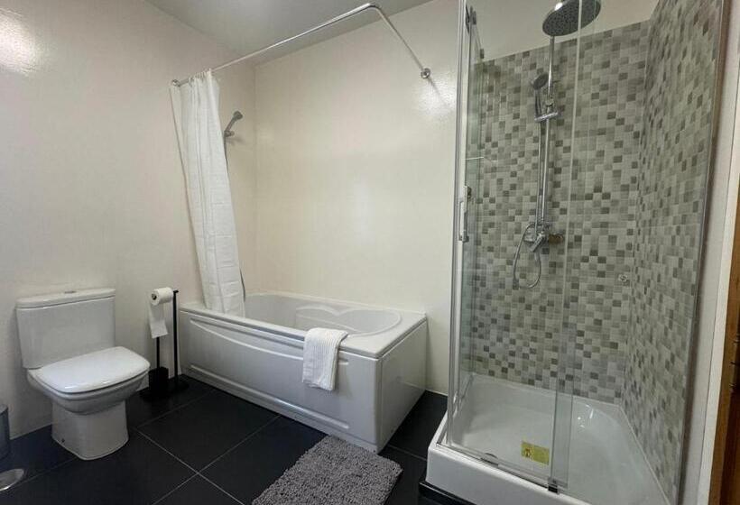 اتاق استاندارد با تخت بزرگ, Aomo Art Space Hostel