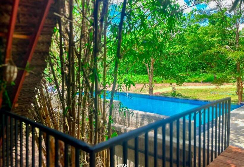 اتاق استاندارد سه تخته با چشم‌انداز استخر, Tantor Resort Habarana