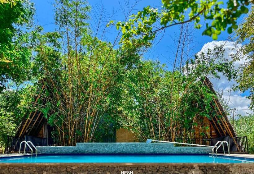 اتاق استاندارد سه تخته با چشم‌انداز باغ, Tantor Resort Habarana