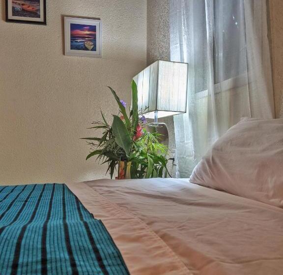 آپارتمان 1 خوابه با چشم‌انداز دریا, Seaside Inn Roatan