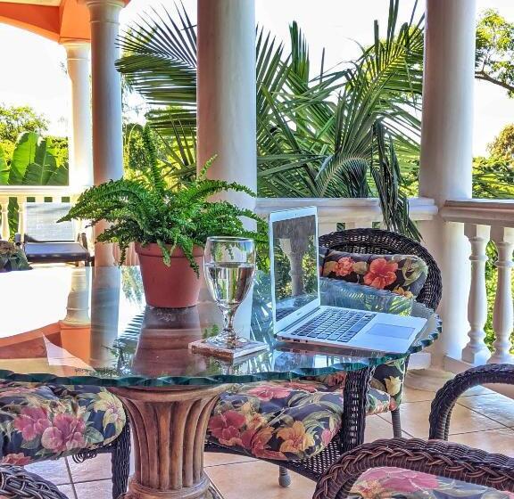 آپارتمان 1 خوابه با چشم‌انداز دریا, Seaside Inn Roatan