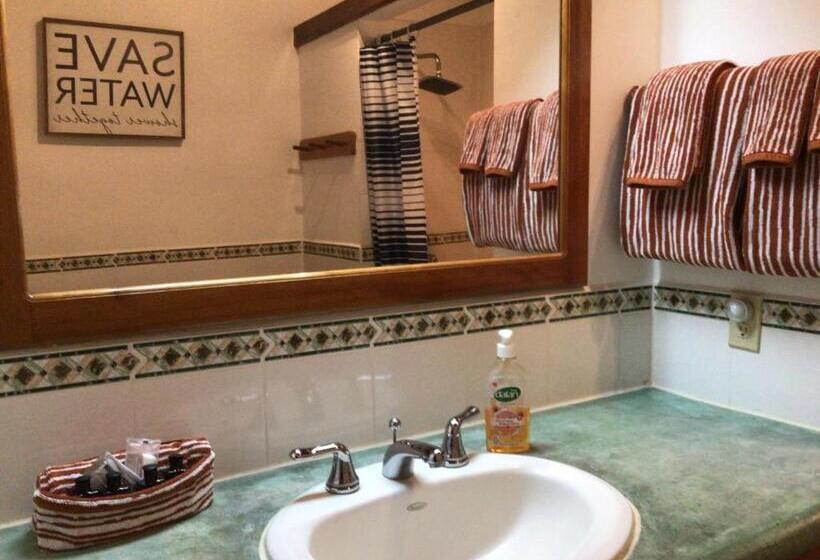 استودیوی استاندارد با چشم‌انداز دریا, Cocolobo Resort