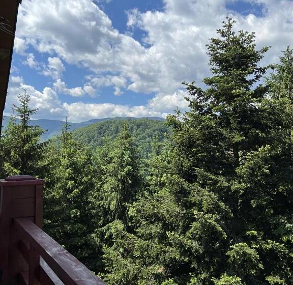سوییت جونیور, Wellland