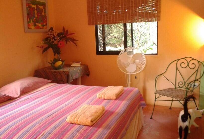 اتاق استاندارد, La Hacienda Hostel