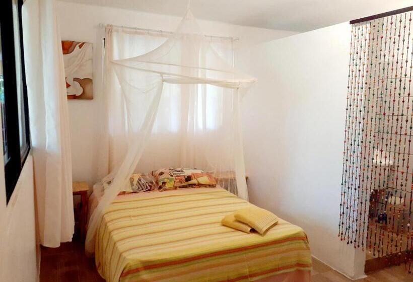 اتاق استاندارد با چشم‌انداز باغ, La Hacienda Hostel